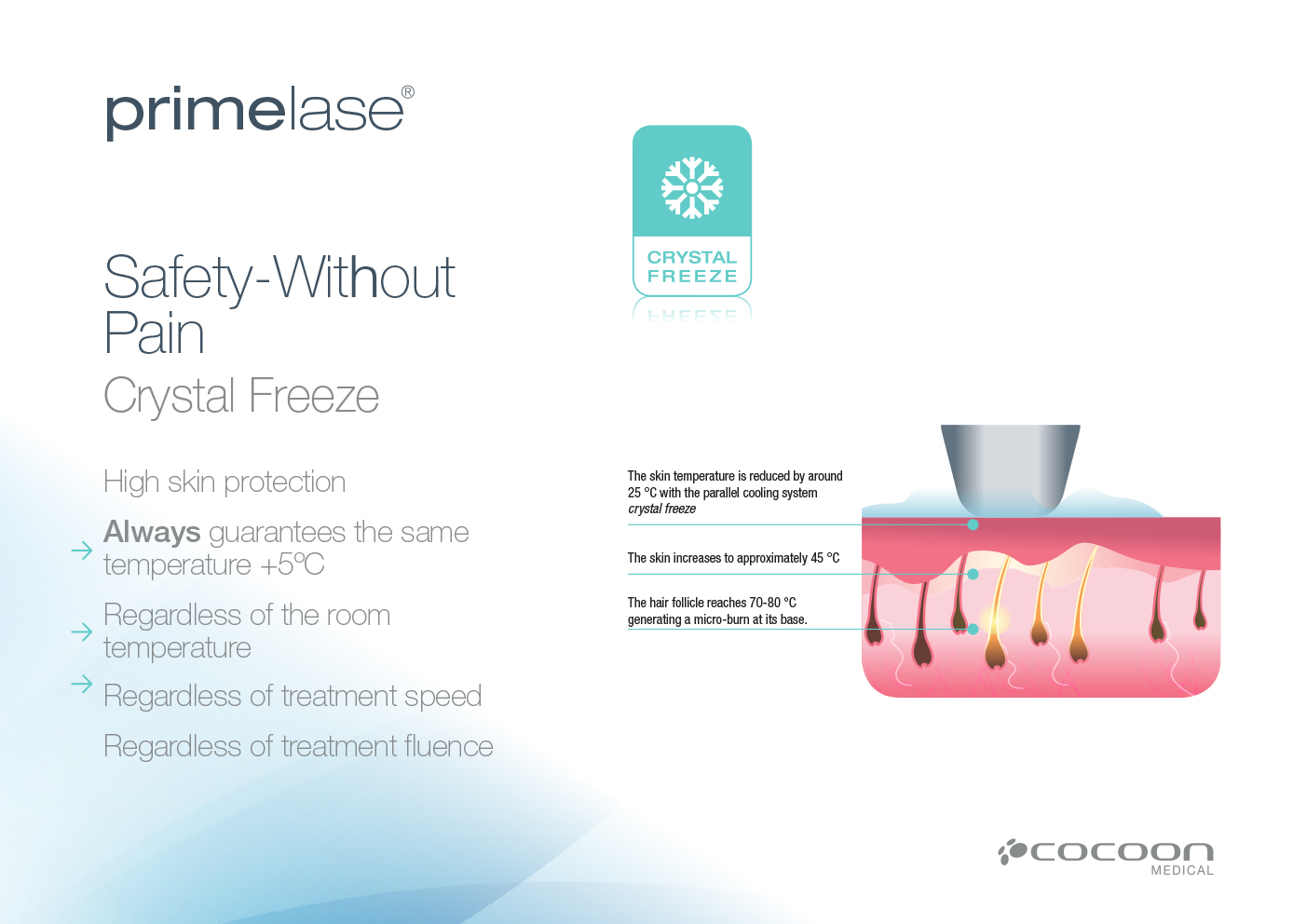 Prime-Presentation-15